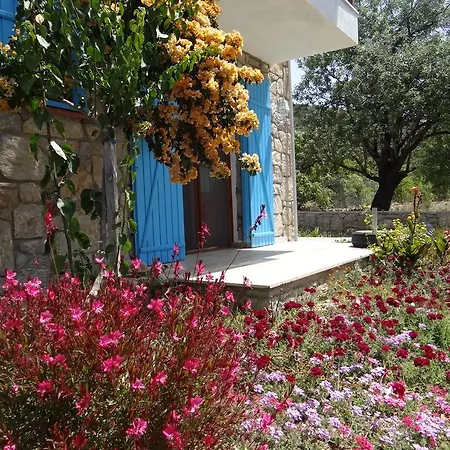 Privat bolig Kabuk Ev Mesudiye (Datca)