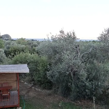 Kabuk Ev Mesudiye (Datca)